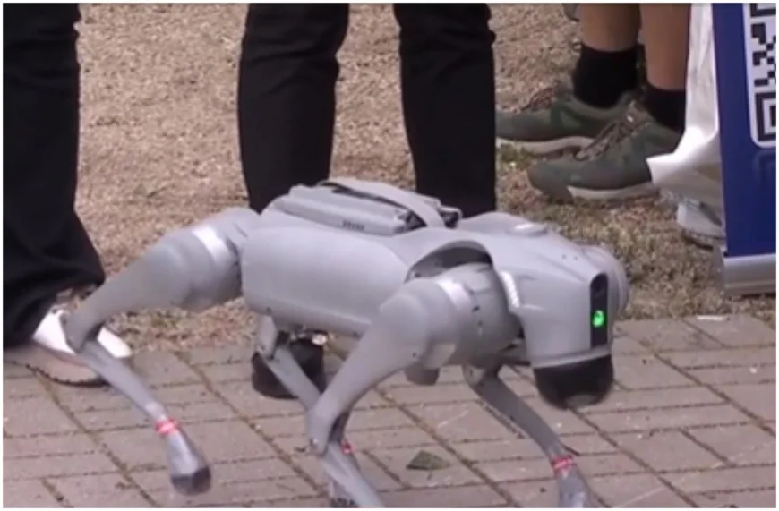 Cum ar putea salva un robot umanoid viața oamenilor. Reacția pe care o are, când aude plânsetul unui copil