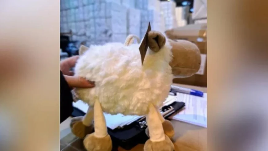 Mii de jucării de pluş "made in China", făcute din materiale cancerigene, confiscate într-un port din Europa