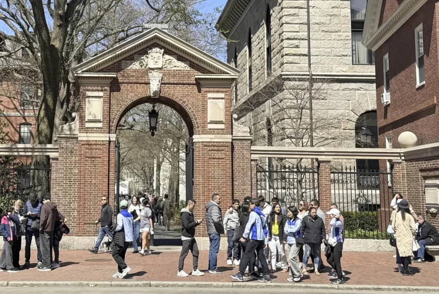 „O absurditate periculoasă”. Reacția unui profesor român din America la politica lui Trump privind studenții străini la Harvard