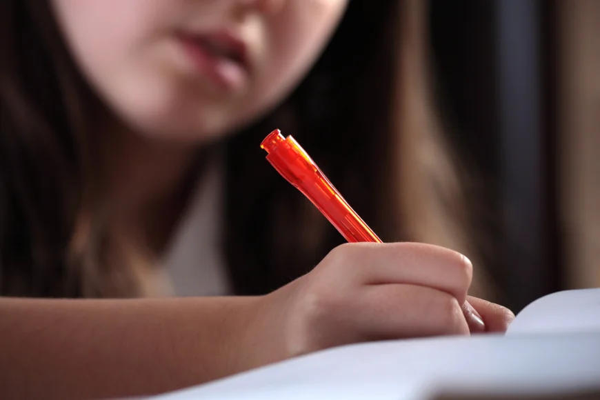 Evaluarea Națională 2025 la clasa a VI-a. Proba la Limba română, marți, 27 mai
