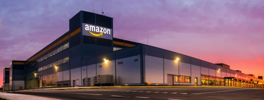Orez cu arsenic şi metale grele. Grupul Amazon, acuzat în SUA pentru punerea în pericol a consumatorilor