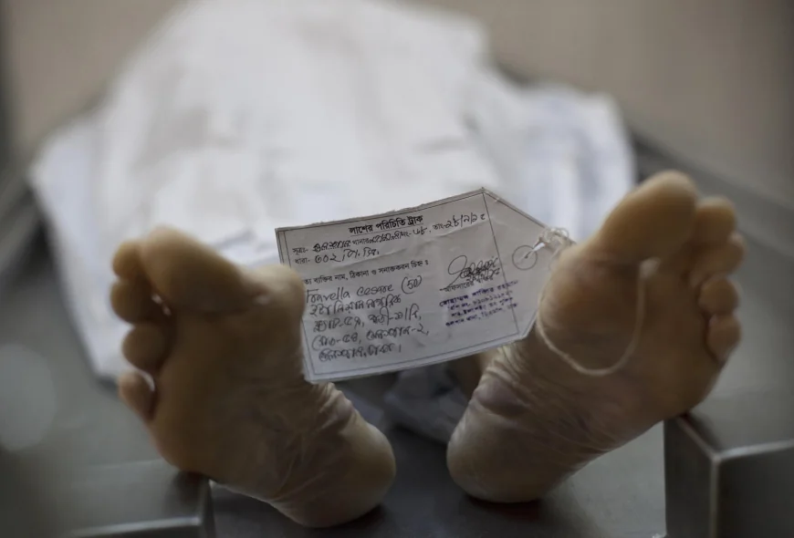 Un fost director al morgii Harvard a pledat vinovat pentru trafic cu părți din cadavrele donate universității