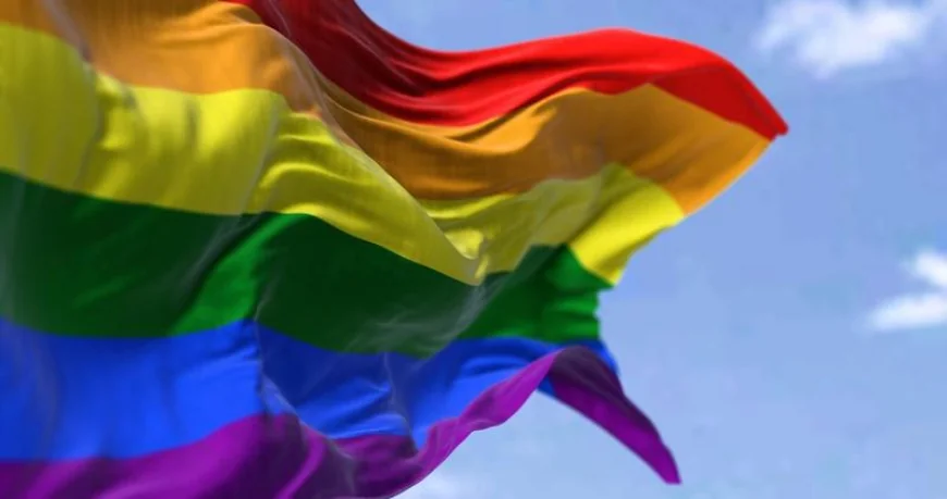 17 țări UE acuză Ungaria că încalcă drepturile comunității LGBTQ