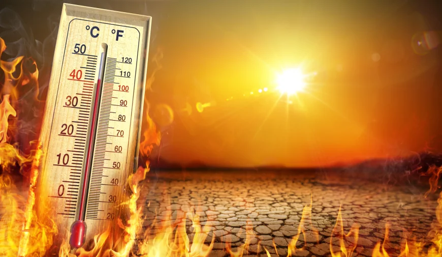 Raport: Temperaturile pe glob se vor menţine la niveluri record în următorii cinci ani. „Ştiinţa este fără echivoc”