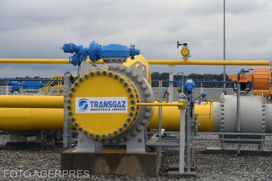 Transgaz a devenit acționar majoritar al Petrostar/ Cine deținea firma prahoveană