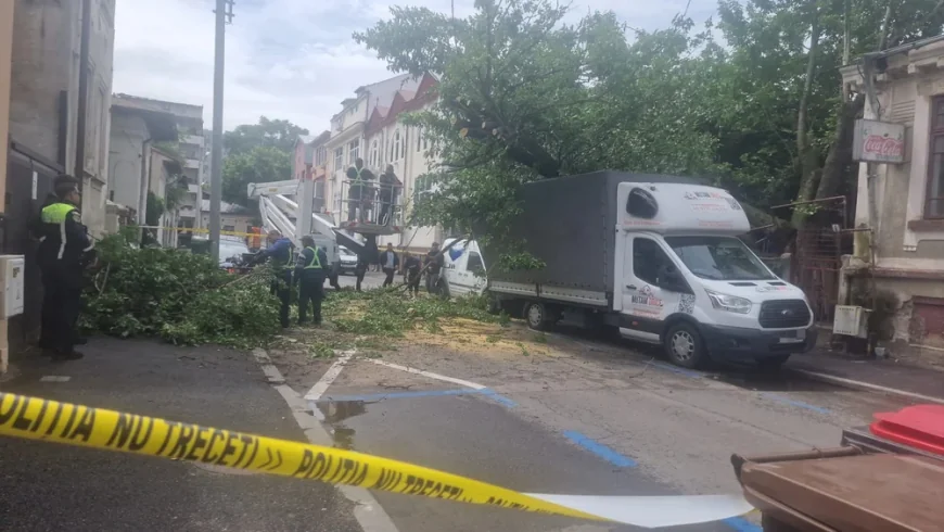 Patru autovehicule, avariate după ce un copac a căzut pe ele. Autoritățile au anunțat restricții de trafic