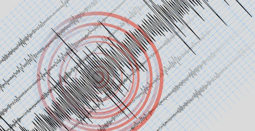 Două cutremure s-au produs joi dimineață, în România. Ce magnitudine au avut
