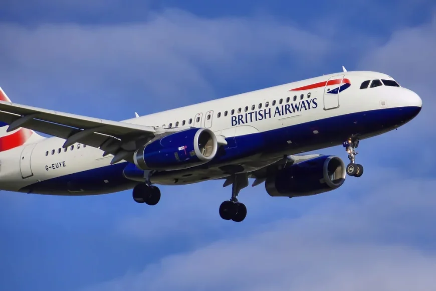 Însoțitor de zbor de la British Airways, găsit dansând complet dezbărcat în toaletă în timpul serviciului