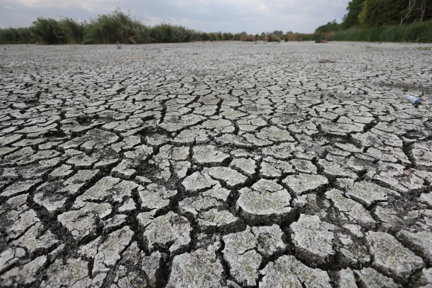 Avertismentul climatologilor: peste jumătate din Europa a fost afectată de secetă până la jumătatea lunii mai. Care e situația României