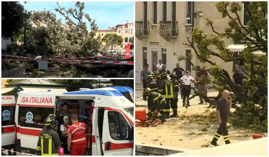 Un copac s-a prăbuşit peste mai mulţi oameni în Veneţia, pe o stradă aglomerată. 12 persoane au fost rănite