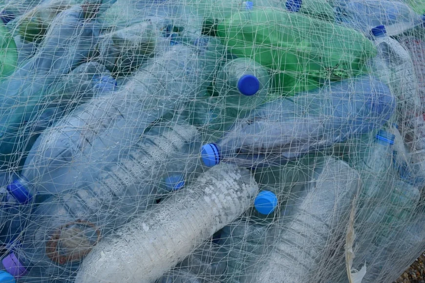 Percheziții de amploare la firme acuzate de reciclare fictivă. Prejudiciu de peste 8 milioane de lei