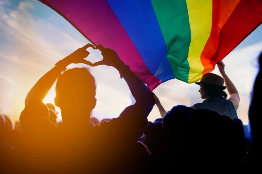 Curtea Constituțională a Ungariei cere recunoașterea cuplurilor gay căsătorite peste hotare