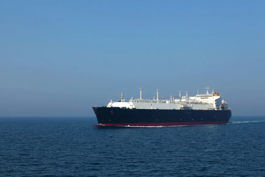 Motivele pentru care un grup de cercetători solicită o interdicție care ar viza o mare parte din oceanele planetei