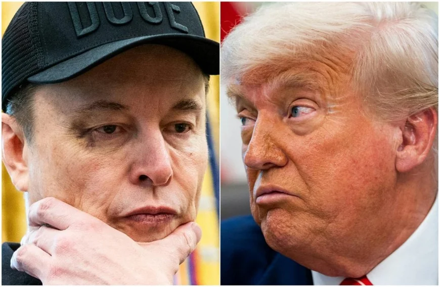 Trump, îndemnat să-i confiște companiile lui Elon Musk și să-l deporteze imediat: "Un parazit"