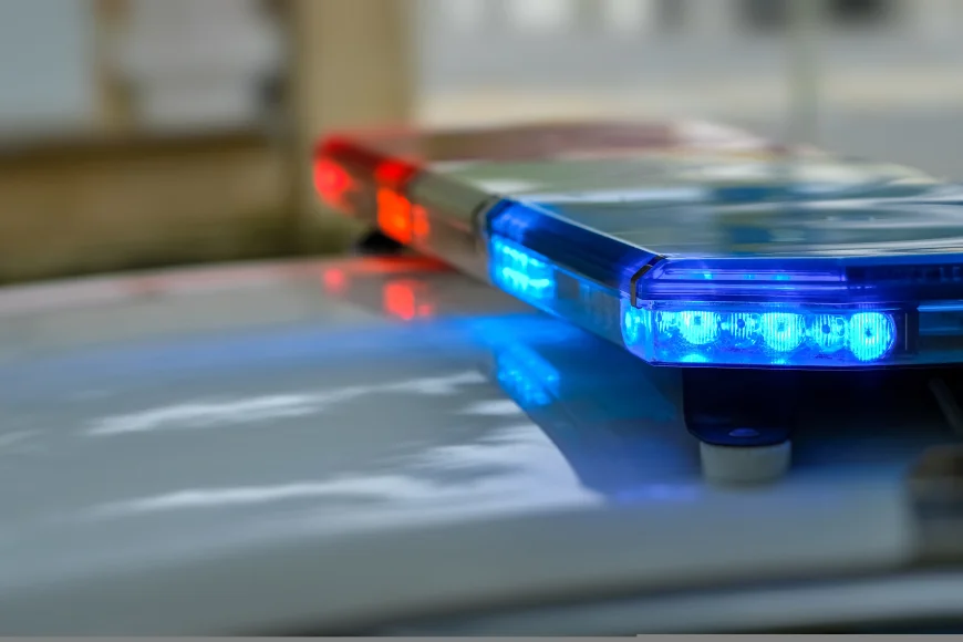 Zeci de ștampile și sute de matrițe cu însemne oficiale, descoperite la suspecți de cămătărie și fals în Cluj. Trei bărbați, reținuți