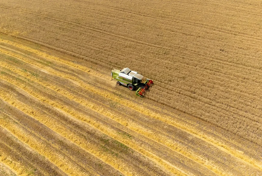 Preţurile mondiale la alimente au scăzut în luna mai, în urma ieftinirii cerealelor, zahărului şi uleiului