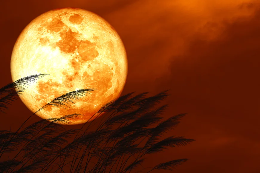 „Luna Căpșună” va apărea pe cerul serii. Când poate fi admirat fenomenul astronomic spectaculos