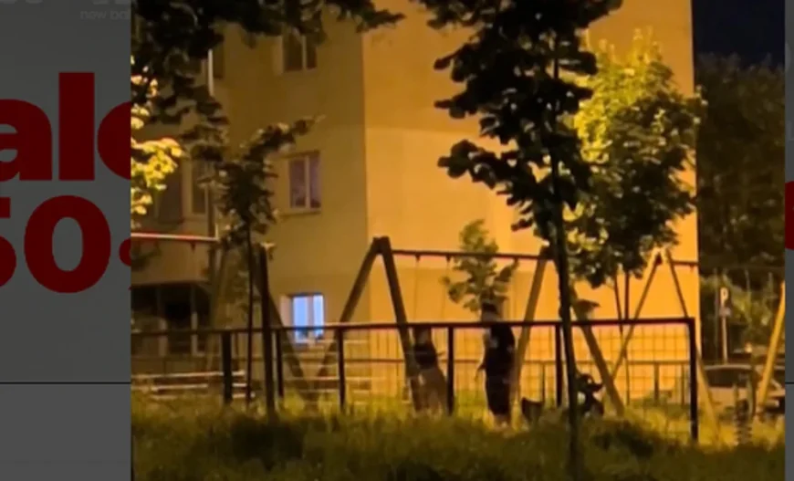 Momentul cumplit în care un bărbat beat își bate soția într-un loc de joacă din Braşov, în timp ce copilul se dă în leagăn: „Viaţa în România 2025”