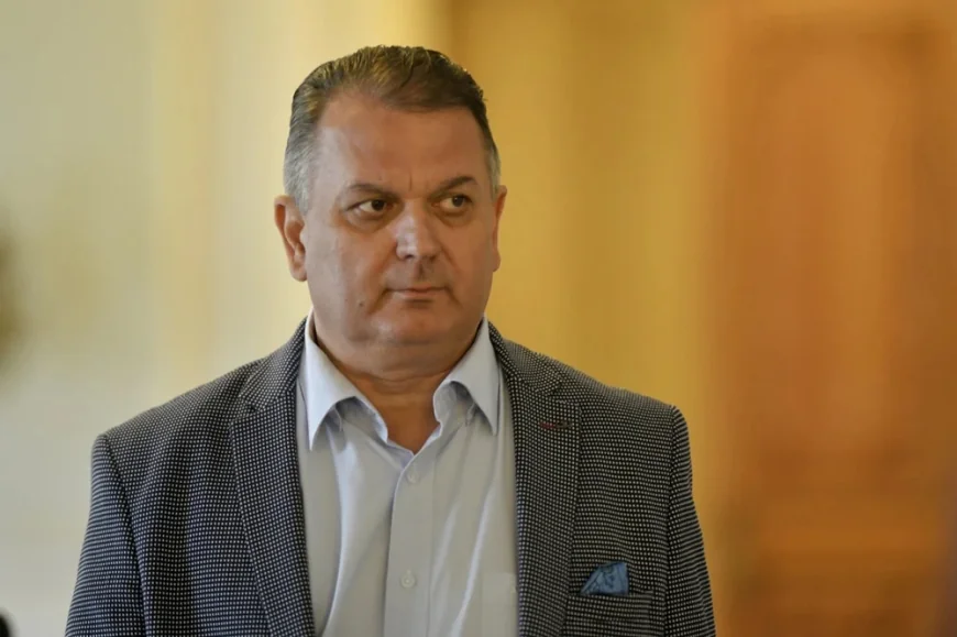 Un lider PNL crede că doar PSD și UDMR vor da noii judecători la Curtea Constituțională, din cauza algoritmului politic