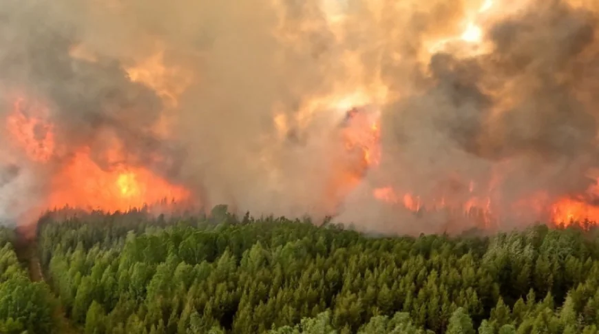 Incendii de vegetație puternice în Canada. Localități evacuate cu ajutorul armatei. Focul se extinde către provincia Ontario