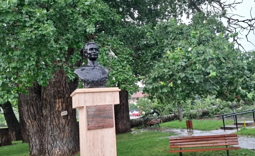 Unul dintre copacii care l-au inspirat pe Mihai Eminescu a căzut în Iași. Intervenție de urgență a ISU