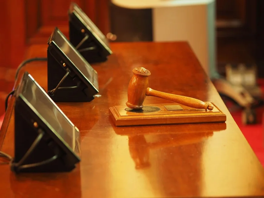 Un bărbat, condamnat la închisoare după ce a lovit un jurnalist într-un tribunal din Berlin. Acuzatul spune că a reacționat „din reflex”
