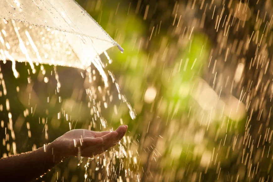 Vremea în weekend. Ploi și vânt în unele zone din țară. Prognoza meteo pentru București