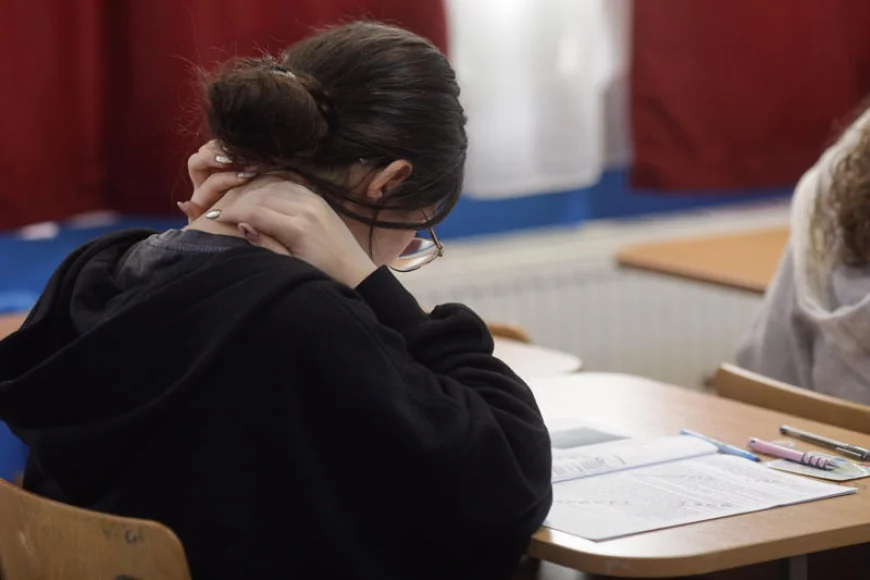 Subiecte Psihologie BAC 2025. Care au fost cerințele la psihologie – FOTO
