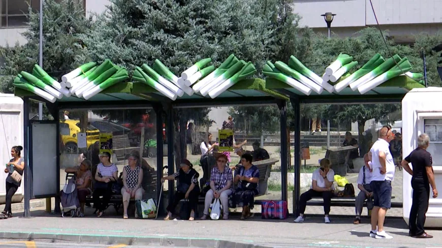Staţiile de autobuz din Craiova, acoperite cu decoraţiuni în formă de praz