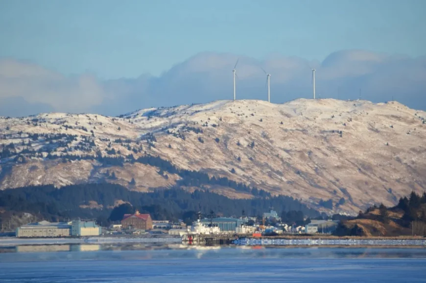 Prima avertizare de caniculă din istorie în Alaska. Clădirile nu au aer condiționat, iar cele mai multe sunt proiectate să rețină căldura