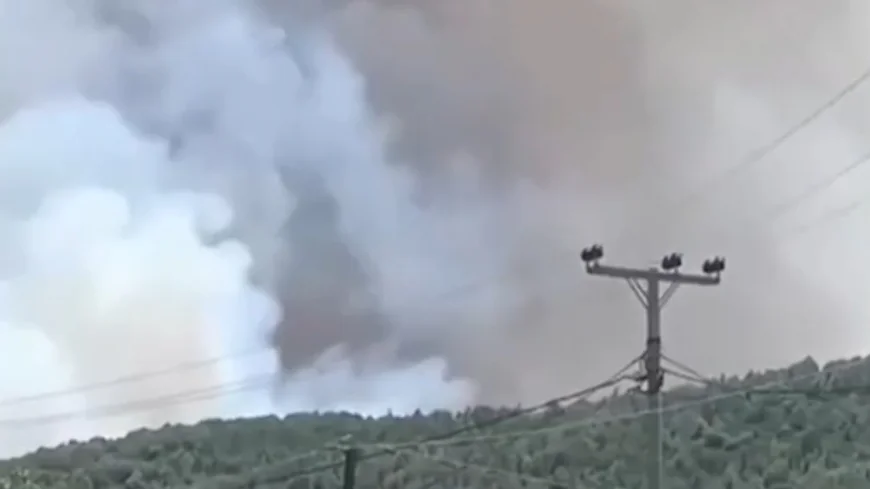 Incendiu de vegetaţie în Grecia, la 40 km de Atena. Locuitorii şi turiştii din zonă, evacuaţi
