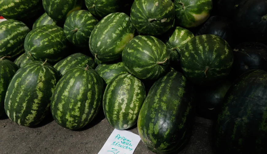 Pepenii românești, în pericol de dispariție. Suprafața cultivată a scăzut în timp ce fermierii caută aternativa mai profitabilă