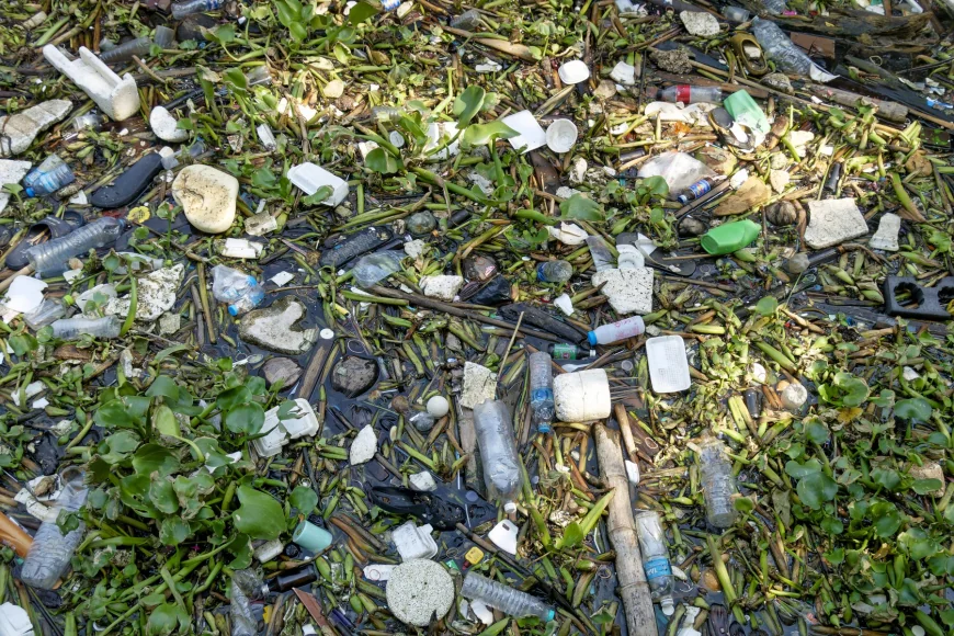 Garda de Mediu a controlat aproape toate localităţile din țară: „Gradul de reciclare a deșeurilor a scăzut, în loc să crească”