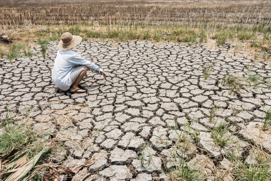 Planeta va depăși în trei ani pragul încălzirii globale de 1,5 grade Celsius, avertizează oamenii de știință