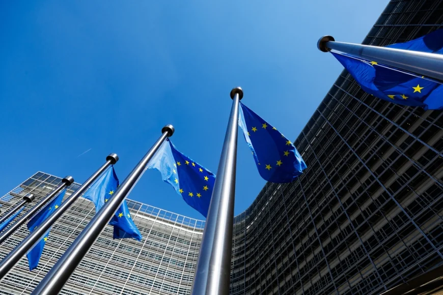 Comisia Europeană a exclus întreprinderile chineze de la achizițiile publice ale UE de dispozitive medicale