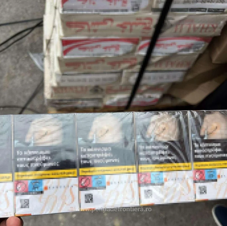 Captură de țigări în Portul Constanța: peste 350.000 de pachete, cu 7 milioane de țigarete
