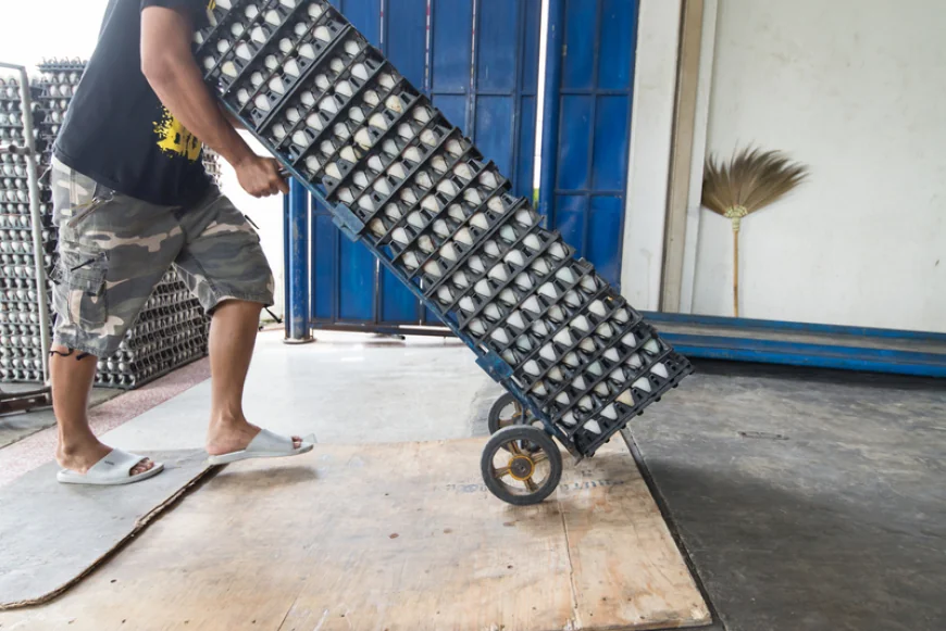 Marele jaf al ouălelor. 280.000 de ouă au dispărut în câteva minute de la cel mai mare producător din America. Apoi a venit o notă de răscumpărare: „Fiecare trebuie să facă ceea ce trebuie să facă”