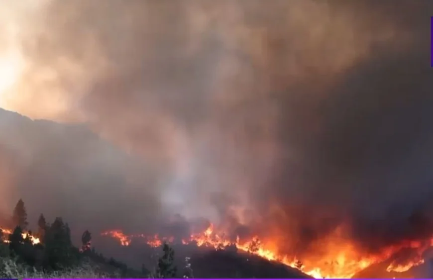 Incendiile de vegetație fac ravagii în insula grecească Chios. Sute de oameni au fost evacuați