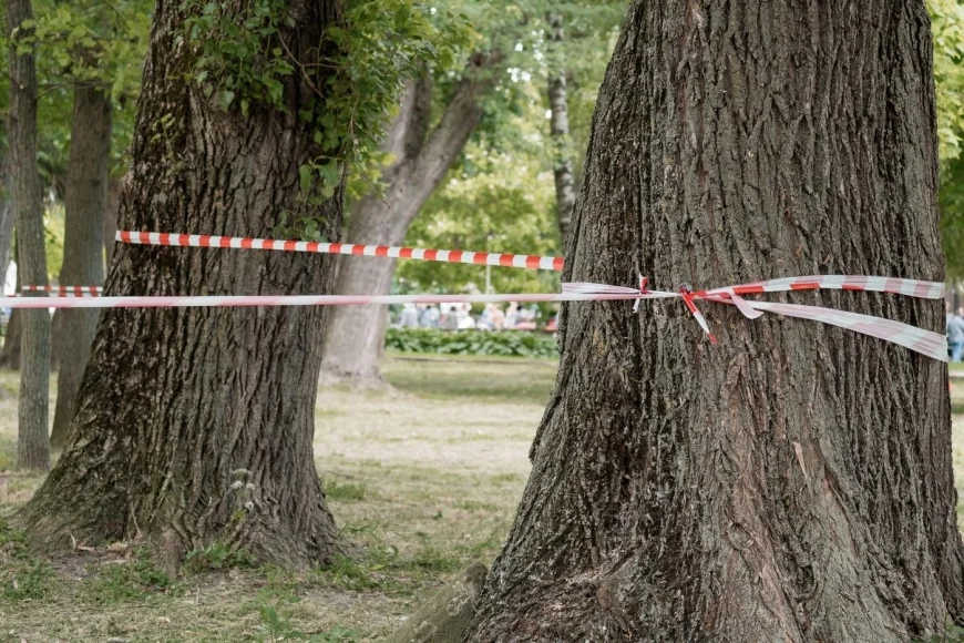O tânără şi-a găsit iubitul spânzurat în pădure. Datoriile mari şi depresia cruntă l-ar fi împins spre moarte
