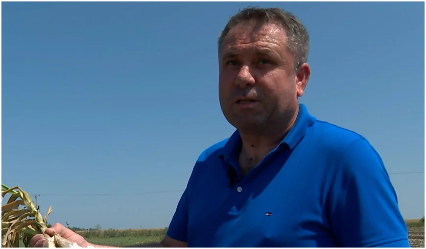 "Arma secretă" a fermierilor în acest an: a fost creată la Banca de Gene şi are gust "dulce-acrişor-iute"