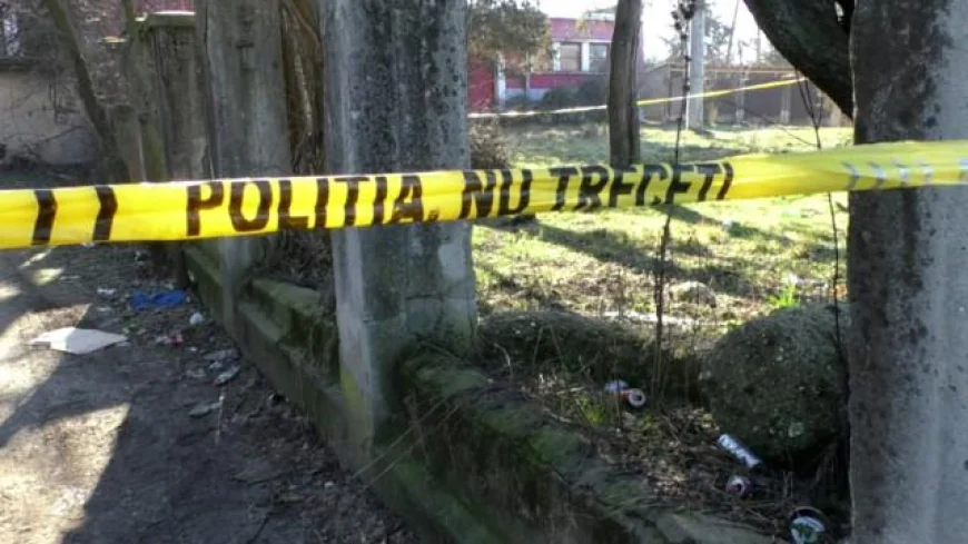 Femeie de 70 de ani, bătută cu ciocanul de şniţele de fiul său pentru că nu a vrut să îi dea bani de ţigări