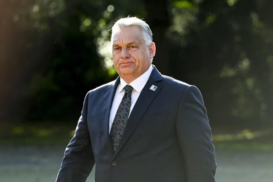 Viktor Orban: NATO nu are nicio treabă în Ucraina. Vreau să mă asigur că nu intră în Alianţă