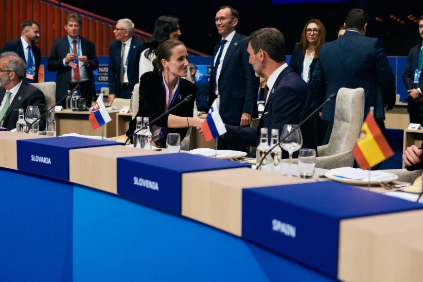 Ministrul de Externe Oana Țoiu, la reuniunea Consiliului NATO-Ucraina: „Protejăm, împreună cu forţele aliate, graniţa UE”