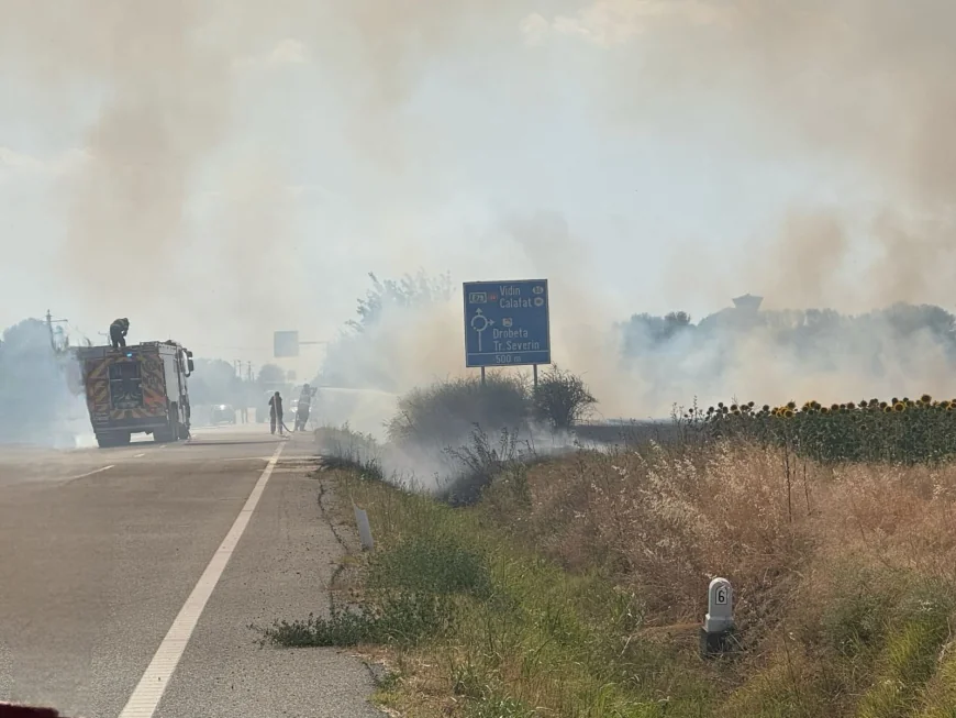 Incendiu puternic de vegetaţie la Maglavit, în Dolj, pe o suprafață de 70 – 80 hectare. Traficul rutier a fost deviat