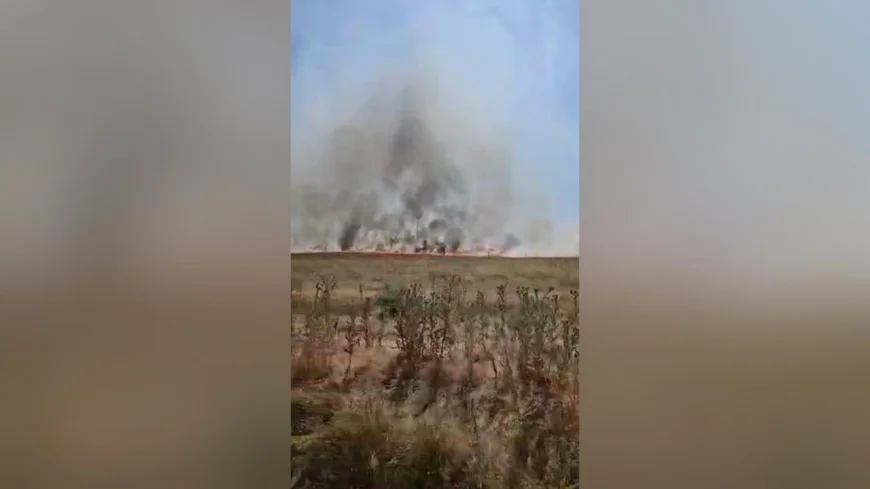 Trafic dirijat pe E87, aproape de Babadag, din cauza incendiilor de vegetaţie. Flăcările ameninţă gospodării