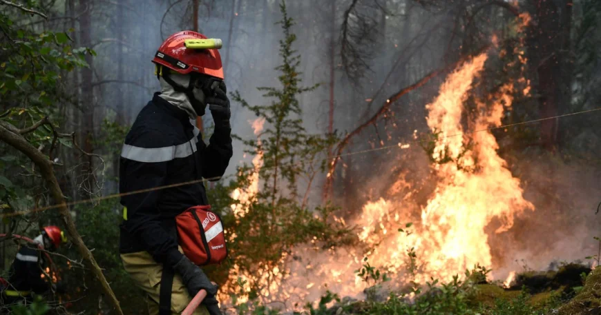 Zeci de pompieri români, trimiși în Franța pentru a sprijini lupta cu incendiile de vegetație