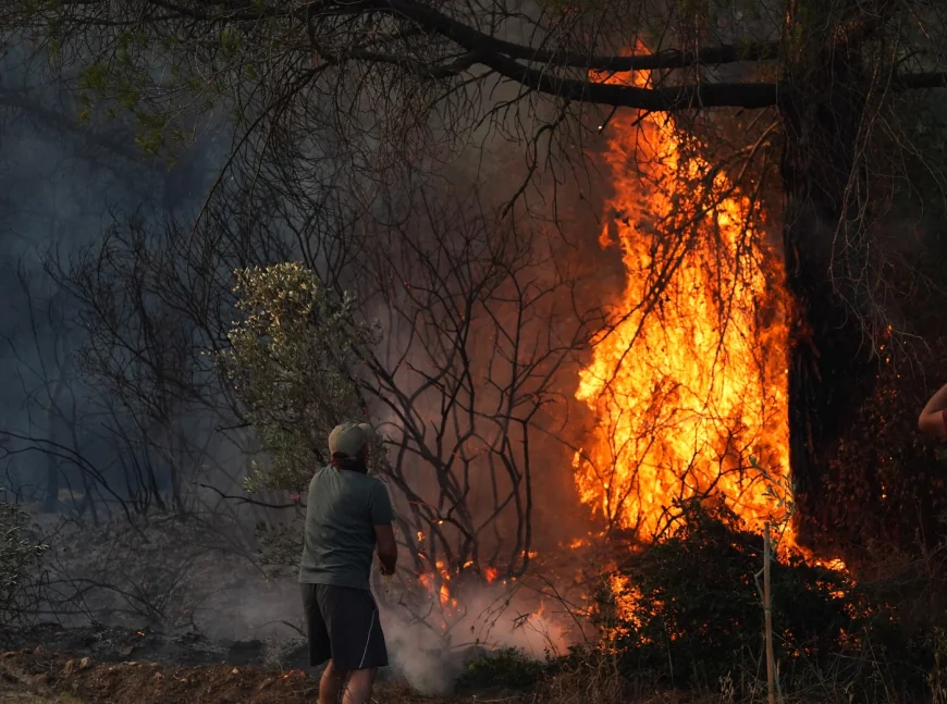 Incendii de vegetație în provincia Izmir din Turcia. 77 de focare au izbucnit în doar 24 de ore. Peste 1.000 de pompieri mobilizați