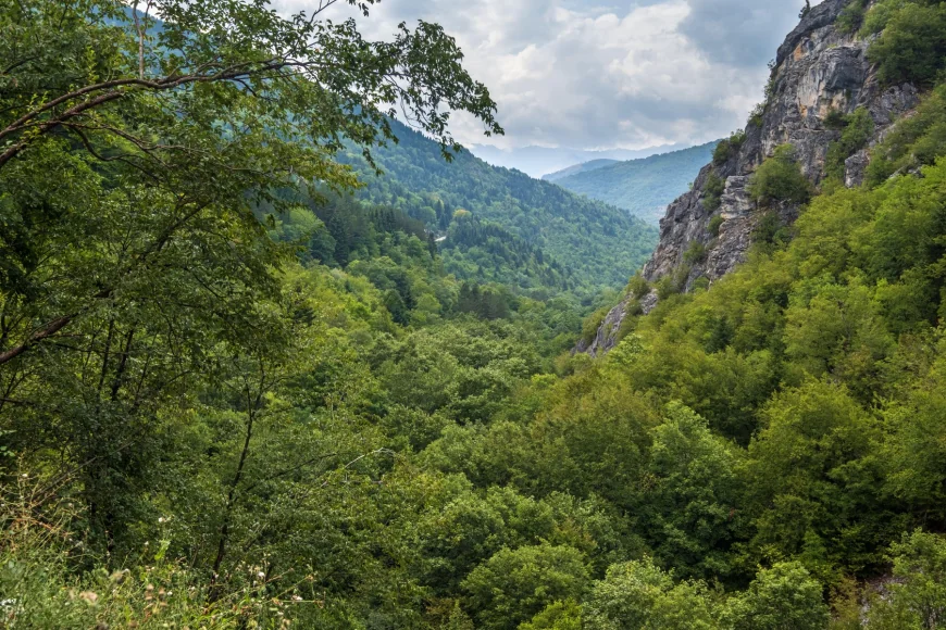 Măsura inedită prin care Macedonia de Nord vrea să prevină incendiile de pădure în munți