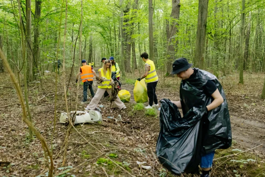 Peste 15 tone de deșeuri colectate în cadrul campaniei de ecologizare a BAT România în pădurea Plopeni, județul Prahova