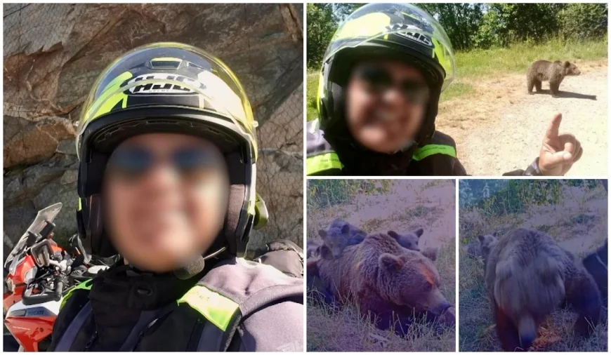 El este italianul ucis de ursoaică pe Transfăgărăşan. Momentul atacului